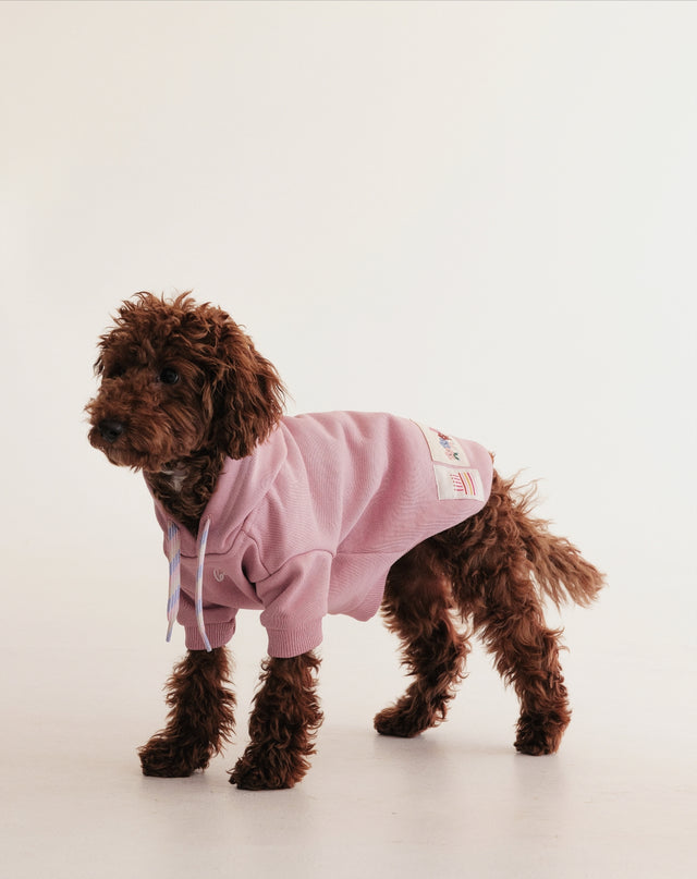 Duks za kuce MINI ME HOODIE
